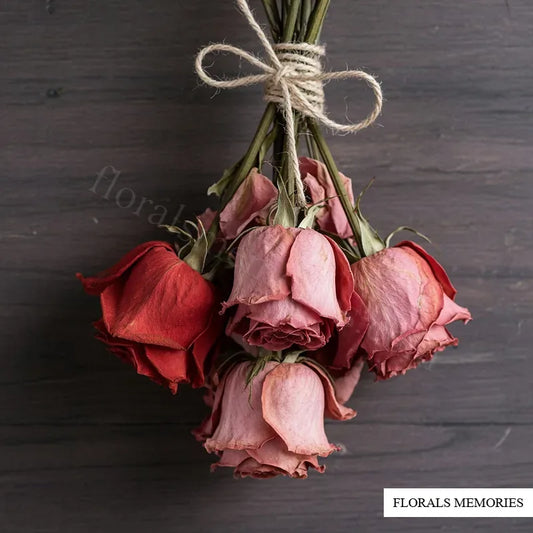 Bundle of dried red and blush roses hanging upside down on twine