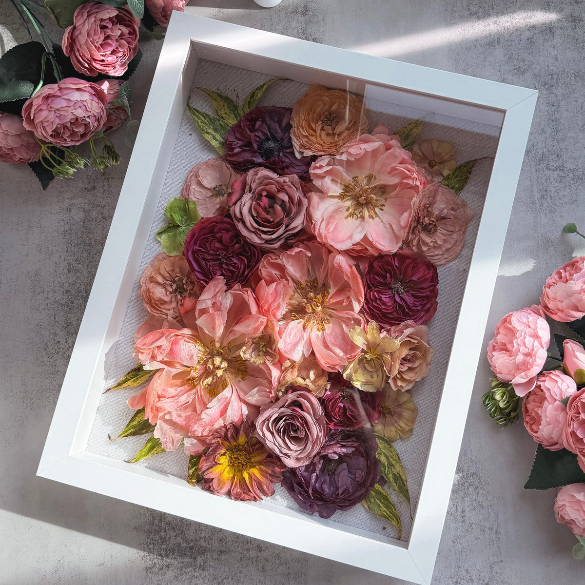 3D Shadow Box