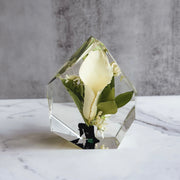 Flowers Preservation Gem