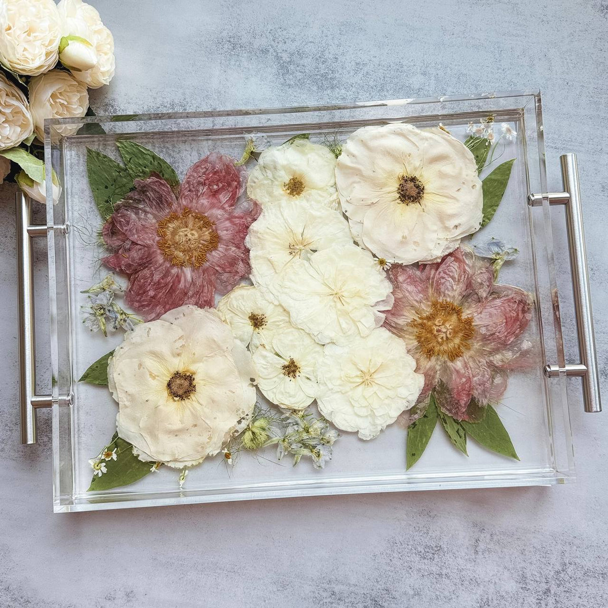 Acrylic Tray