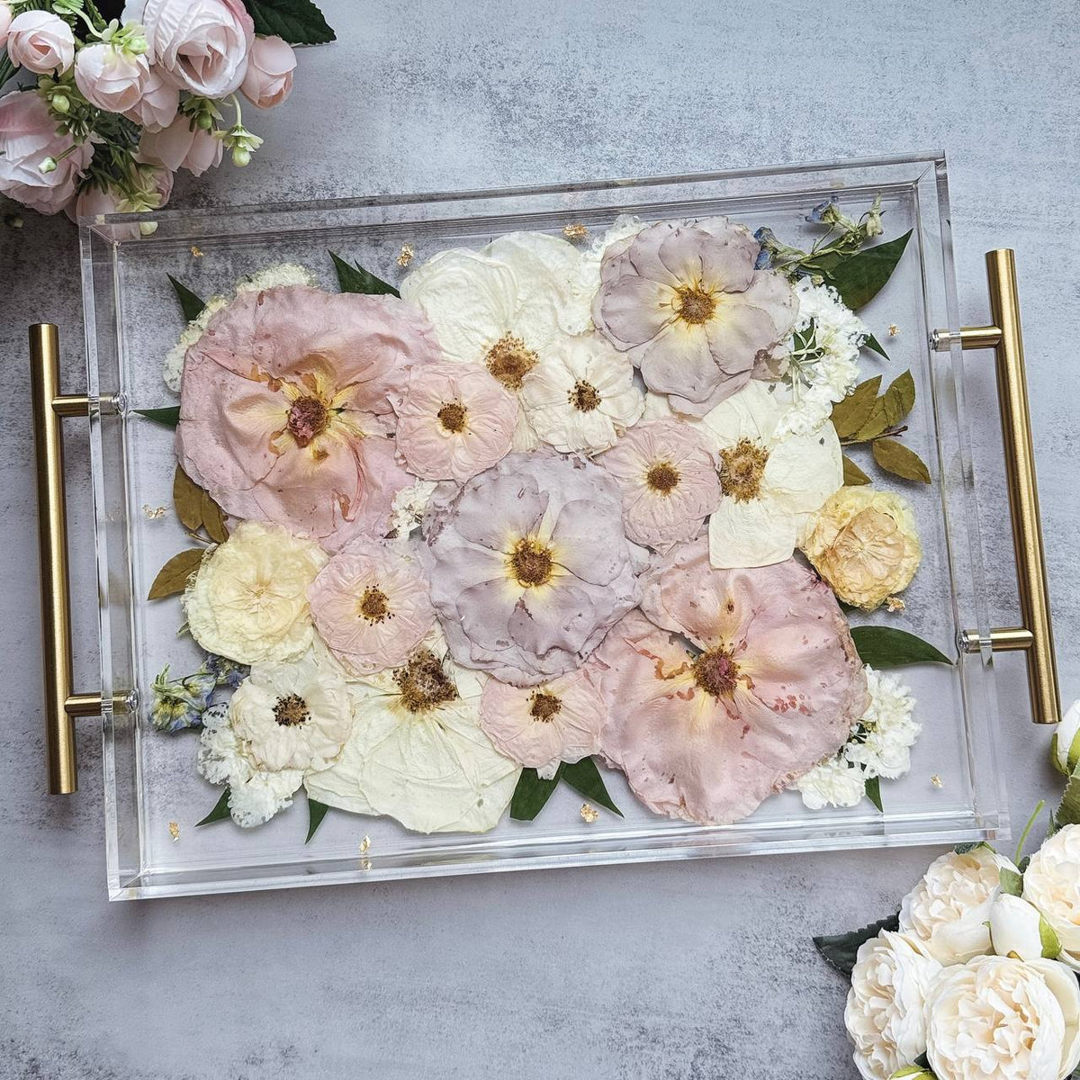 Acrylic Tray